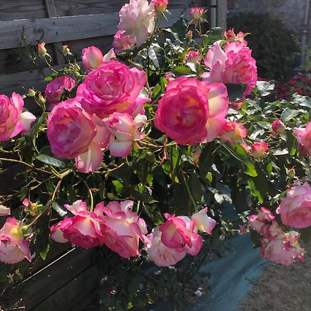 Bed and Breakfast Les Hortensias Grand-Fougeray Экстерьер фото